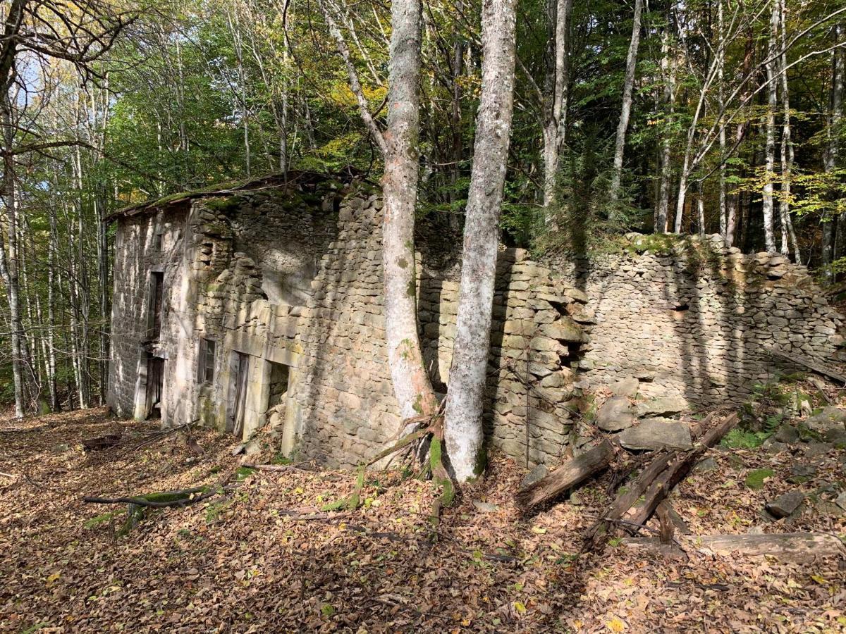 Gite " Oree Des Bois" Vertolaye Exterior photo