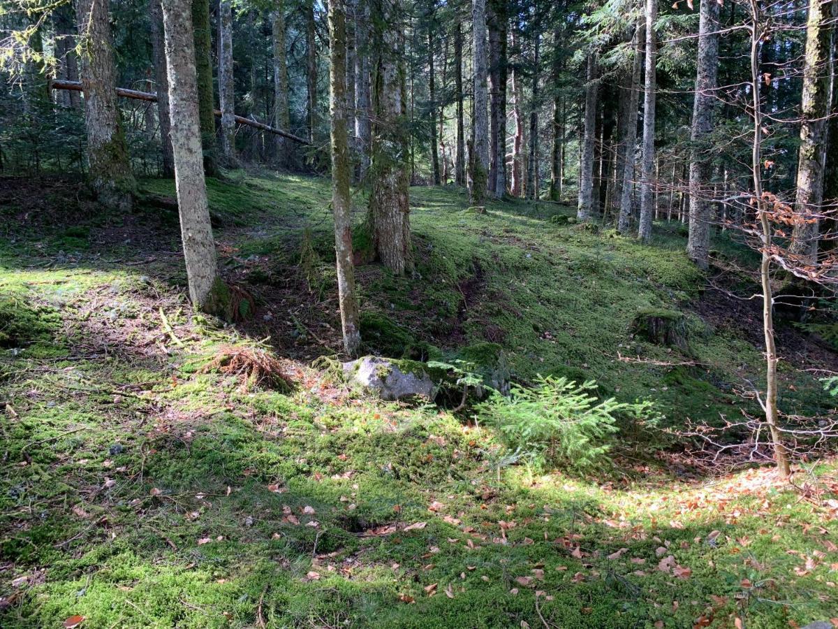 Gite " Oree Des Bois" Vertolaye Exterior photo